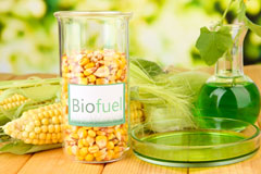 Pit biofuel availability